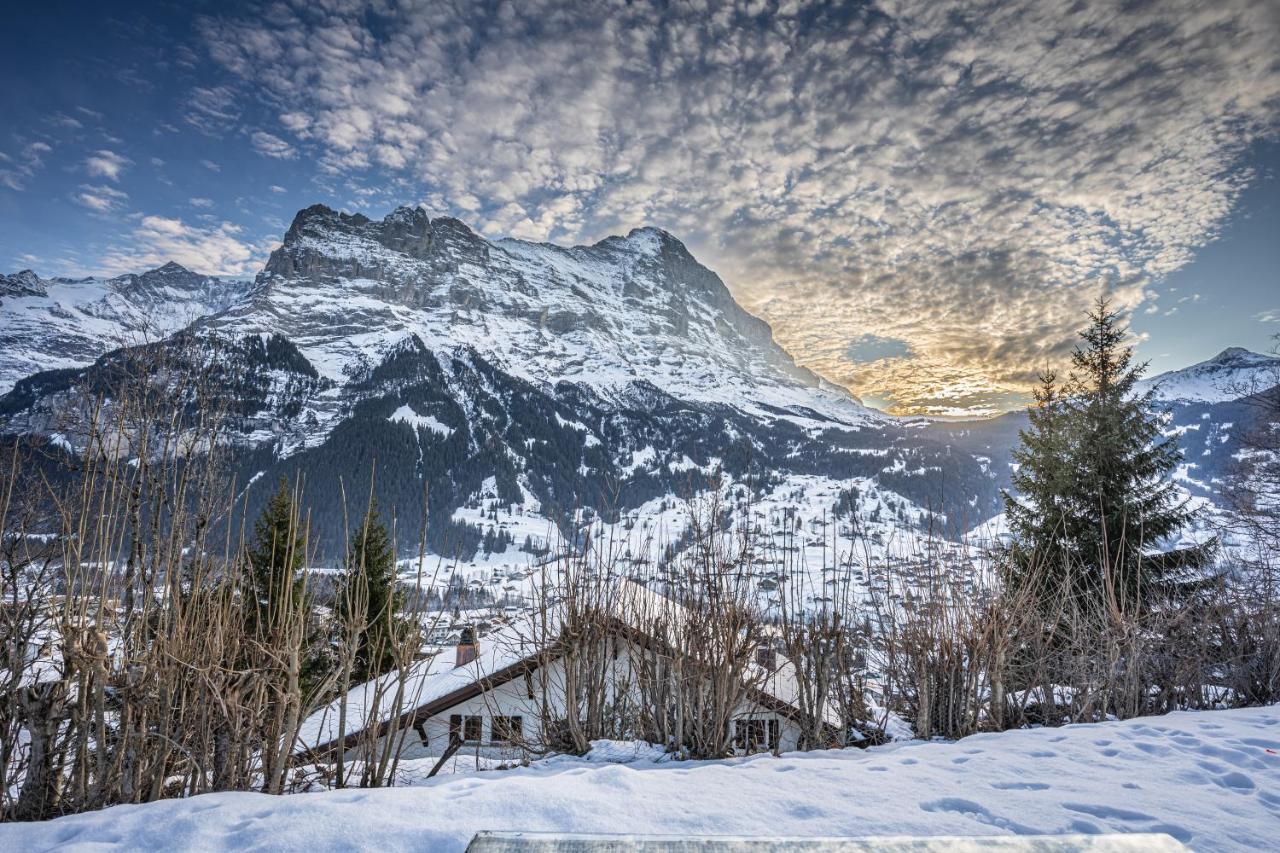 Chalet Weid - Aare Jungfrau Ag Гріндельвальд Екстер'єр фото