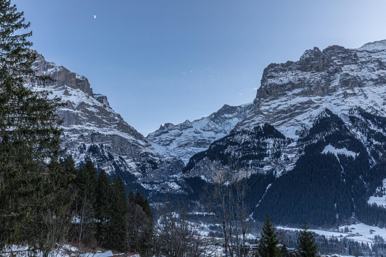 Chalet Weid - Aare Jungfrau Ag Гріндельвальд Екстер'єр фото