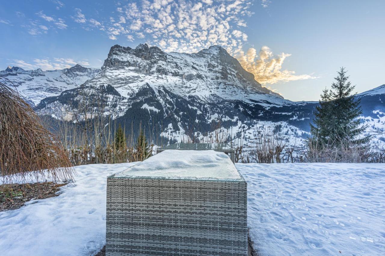 Chalet Weid - Aare Jungfrau Ag Гріндельвальд Екстер'єр фото